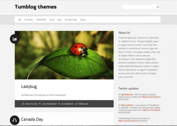 Diavlo Tumblog Wordpress WP Theme Website http://jinsonathemes.com/tumblog/?themedemo=Diavlo   