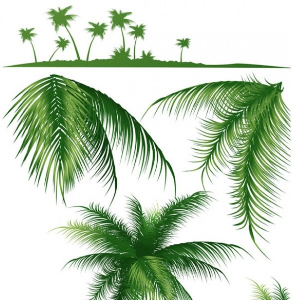 Tropical Palm Tree Silhouette & Branches web vector unique ui elements tropical silhouette tree stylish quality palms palm tree palm silhouette palm branches original new interface illustrator high quality hi-res HD graphic fresh free download free eps elements download detailed design creative branches   