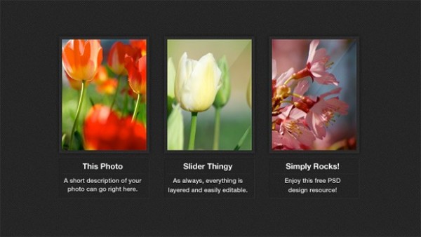 Dark Photo Gallery Thumbnails Set PSD web unique ui elements ui thumbnails stylish simple quality photos photo gallery original new modern interface hi-res HD gallery fresh free download free elements download display detailed design creative clean   
