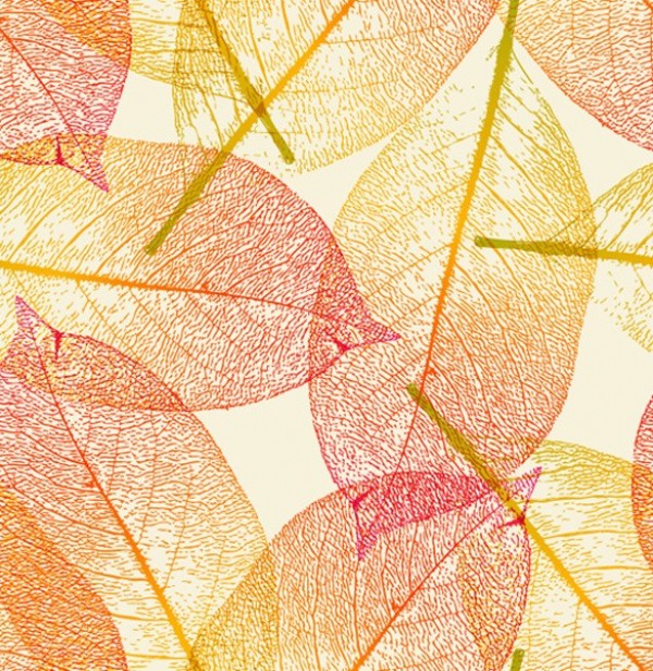 Fine Weave Autumn Leaves Vector Background web vector unique stylish quality original orange new leaves illustrator high quality graphic fresh free download free eps download design delicate creative colorful background autumn leaves abstract   