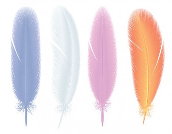 4 Soft Colored Vector Bird Feathers Set web vector unique ui elements stylish soft quality original new illustrator high quality hi-res HD graphic fresh free download free feathers feather eps download design creative colors bird   