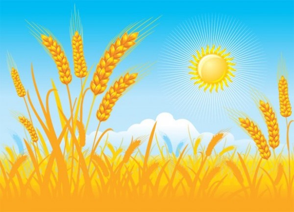 Wheat Field Sunny Day Vector Background wheat field wheat web vector unique ui elements sunshine sunny sun stylish stalk of wheat quality original new interface illustrator high quality hi-res HD harvest graphic fresh free download free farm eps elements download detailed design crop creative background   