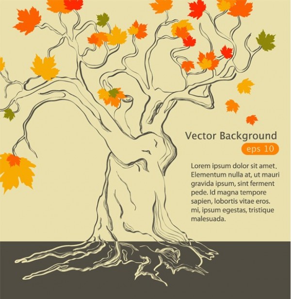 Gnarly Old Tree with Autumn Leaves Vector Background web vector tree vector unique ui elements stylish quality original old tree new nature maple tree leaves interface illustrator high quality hi-res HD graphic fresh free download free eps elements download detailed design creative background autumn leaves autumn   