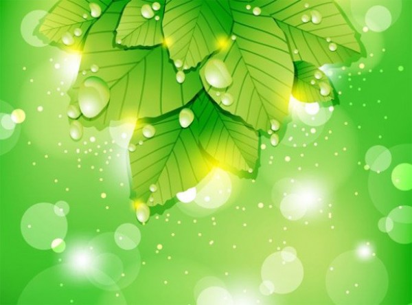 Green Leaves Dewdrops & Light Vector Background web water drops vector unique stylish spring quality original nature light leaves illustrator high quality green graphic glowing fresh free download free ecology eco download dewdrops design creative background   