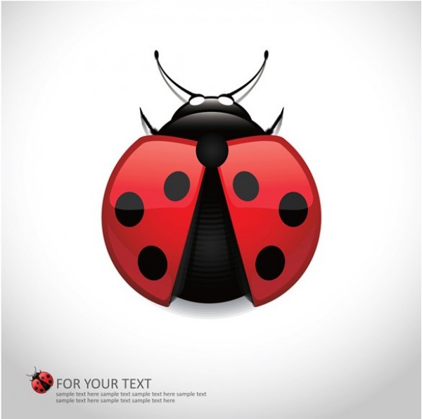Realistic Red Lady Bug Vector Graphic web vector unique ui elements stylish red realistic quality original new ladybug ladybird lady bug lady bird lady illustrator high quality hi-res HD graphic fresh free download free download design creative bug bird beetle ai   