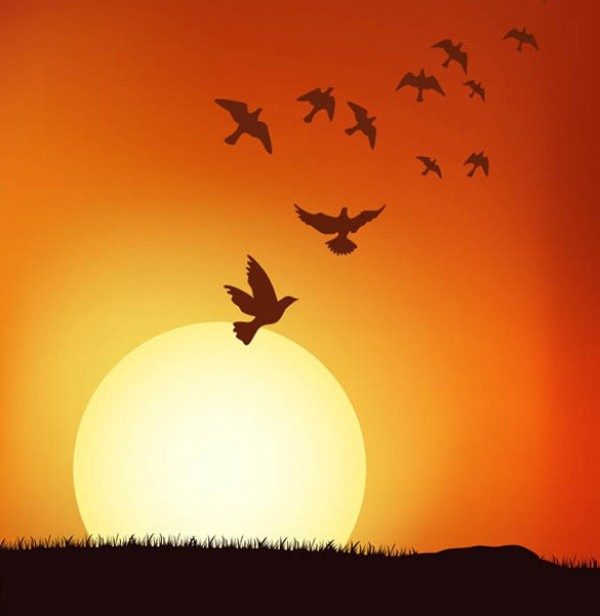 Glorious Sunset Bird Silhouette Vector Background web vector unique ui elements sunset sun stylish silhouette quality original new interface illustrator high quality hi-res HD graphic fresh free download free elements download detailed design creative birds bird silhouette background   