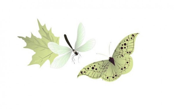 Delicate Butterfly Leaf Dragonfly Vector web vector unique stylish quality original new nature leaf illustrator high quality green graphic fresh free download free dragonfly download design delicate creative butterfly   