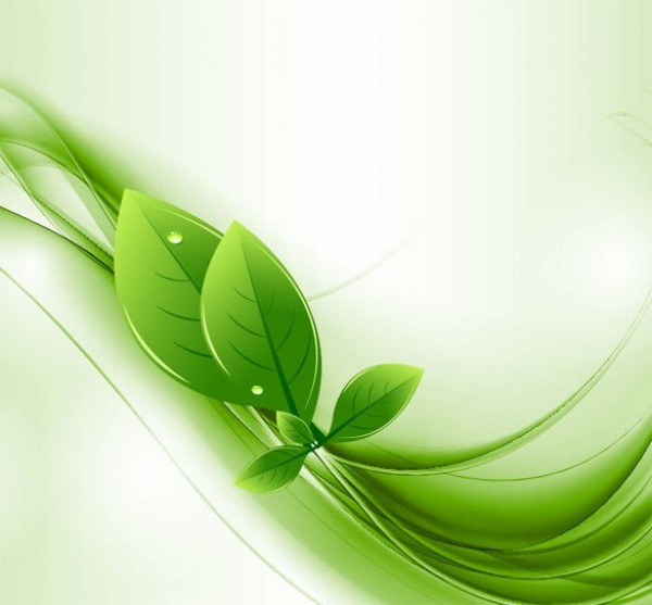 Green Eco Leaves Abstract Vector Background web waves waterdrops vector unique ui elements stylish quality original new nature leaves leaf interface illustrator high quality hi-res HD green graphic fresh free download free eps elements ecology eco droplets download dew detailed design creative background   