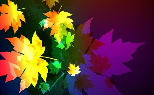 Distinctive Colorful Maple Leaf Vector Background web vector unique stylish quality original maple leaves maple leaf illustrator high quality graphic fresh free download free download design creative colorful background autumn   