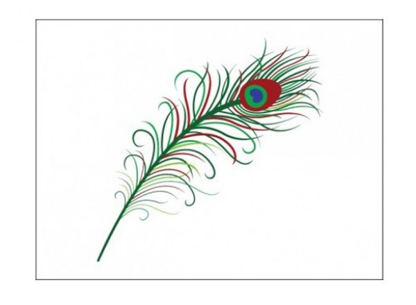 Stylized Peacock Feather Vector Graphic web vector feather vector unique ui elements stylish quality peacock feather peacock original new interface illustrator high quality hi-res HD graphic fresh free download free feather elements download detailed design creative colorful ai   
