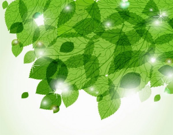 Green Transparent Leaves Sunlit Vector Background web vector unique transparent sun stylish quality original leaves leaf illustrator high quality green graphic glowing glow fresh free download free eps download design creative background abstract   