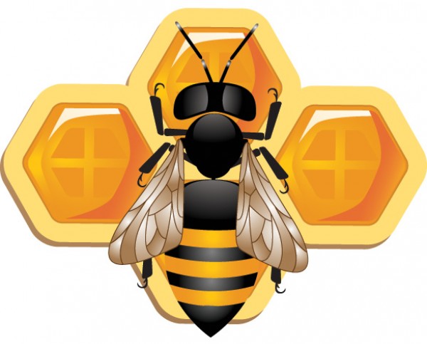 Detailed 3D Bee Honeycomb Icon vectors vector graphic vector unique quality photoshop pack original modern logo illustrator illustration icon honeycomb honeybee honey high quality fresh free vectors free download free download creative bumblebee bee ai   