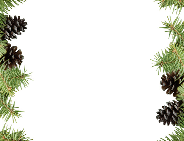 Pine Branches with Pine Cones Graphic ui elements tree pine cones pine branches pine free download free frame download decoration christmas border   
