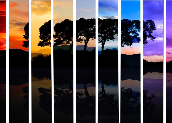 Tree Silhouette Sunset Scene PSd web unique ui elements ui tree silhouette tree sunset silhouette sunset stylish strips silhouette red quality purple psd original new modern interface hi-res HD fresh free download free elements download detailed design creative colorful clean blue background   