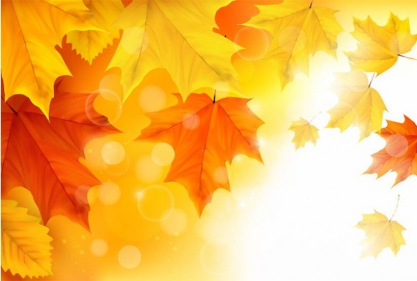 Sunlit Autumn Maple Leaves Vector Background yellow web vector unique ui elements sunny sunlit stylish quality original orange new maple leaves maple leaves interface illustrator high quality hi-res HD graphic glowing fresh free download free eps elements download detailed design creative background autumn leaves autumn   