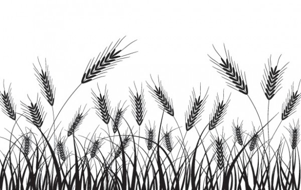 Wheat Field Silhouette Vector Background wheat field wheat web vectors vector graphic vector unique ultimate ui elements silhouette quality psd png photoshop pack original new modern jpg illustrator illustration ico icns high quality hi-def HD grass grain fresh free vectors free download free field elements download design creative background ai   