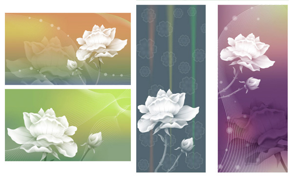 4 Exquisite White Rose Fantasy Backgrounds white rose web vector unique ui elements stylish soft set rose romantic quality original new lines interface illustrator high quality hi-res HD graphic fresh free download free flower floral background floral fantasy elements elegant download detailed design creative background ai abstract   