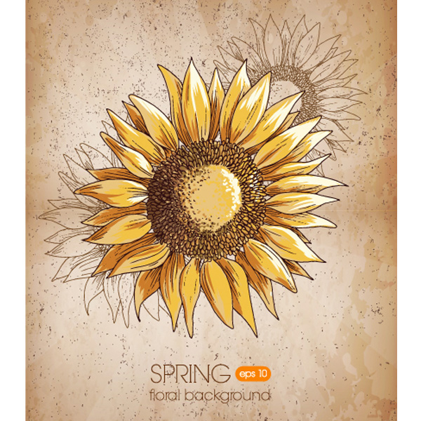Hand Drawn Sunflower Grunge Background yellow web vector unique ui elements sunflower stylish sketched seeds quality painted original new interface illustrator high quality hi-res HD hand painted hand drawn grunge graphic fresh free download free flower floral eps elements drawing download detailed design creative background   