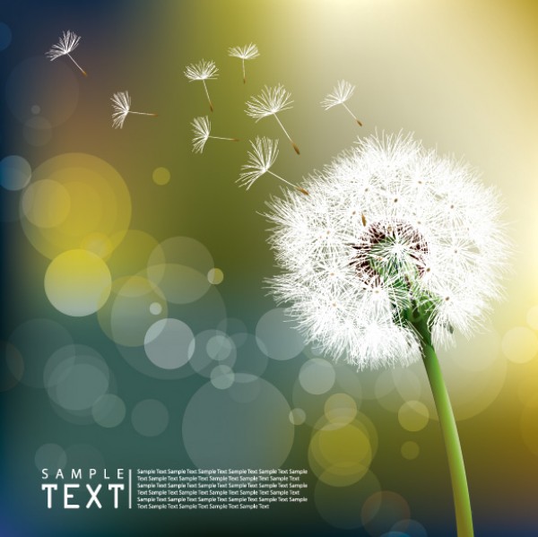 Realistic Vector Dandelions Background web vectors vector graphic vector unique ultimate sunshine sun lit seeds realistic quality photoshop pack original new modern illustrator illustration high quality fresh free vectors free download free flower floral download design dandelions dandelion seeds creative background ai   