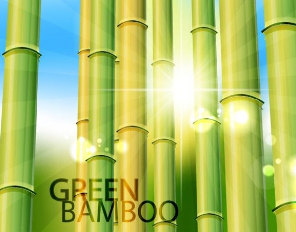 Green Bamboo Forest Vector Background web vector unique stylish skies quality original new illustrator high quality green bamboo green graphic fresh free download free download design creative blue bamboo forest bamboo background   