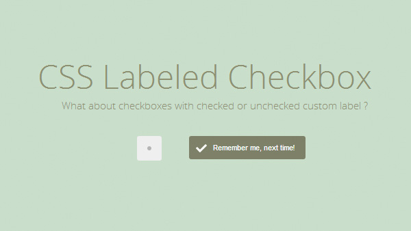 CSS Labeled Checkbox ui elements label free download free download css checkbox with label checkbox box   