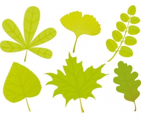 Unique Green Leaves Vector Collection web vector unique ultimate tree stylish set quality original new nature leaves leaf illustrator high quality green graphic fresh free download free ecology eco download design creative collection   