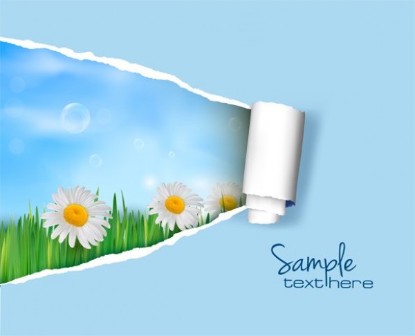 Spring Daisies Torn Paper Vector Background web vector unique ui elements torn paper stylish springtime spring ripped paper quality original new interface illustrator high quality hi-res HD grass graphic fresh free download free flowers floral background floral eps elements download detailed design daisies creative blue skies blue background   