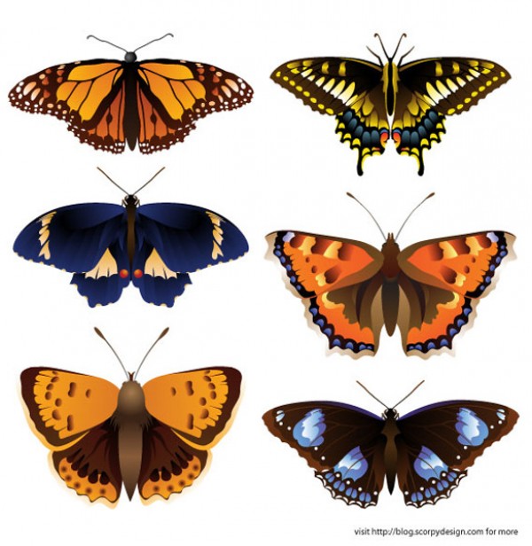 6 Intricate Butterfly Vector Graphics Set vectors vector graphic vector unique ultra ultimate simple quality photoshop pack original new nature modern intricate illustrator illustration high quality graphic fresh free vectors free download free download detailed creative colorful clear clean butterfly butterflies ai   