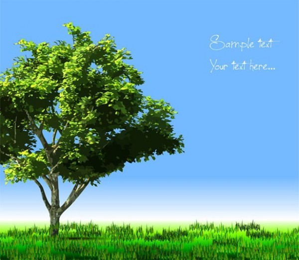 Solitary Green Tree Country Vector Landscape web vector unique stylish solitary tree quality original nature lone tree leaves illustrator high quality green tree grass graphic fresh free download free field download design creative countryside country   