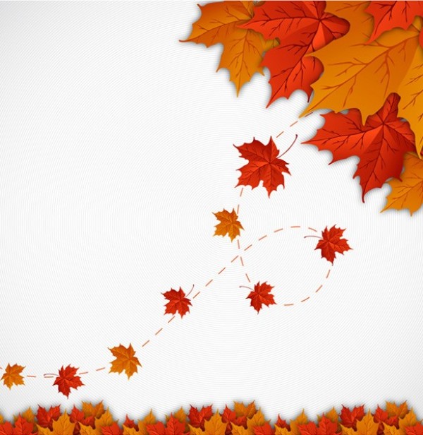 Vibrant Autumn Leaves Vector Background web vector unique ui elements stylish red quality original orange new maple leaves illustrator high quality hi-res HD graphic fresh free download free eps download design creative colorful background autumn leaves   