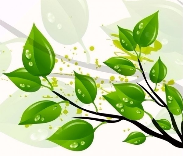 Nature Green Leaves Vector Background 12309 web water drops vector unique tree stylish quality original nature leaves leaf illustrator high quality green graphic fresh free download free download dewdrops design creative branch background   