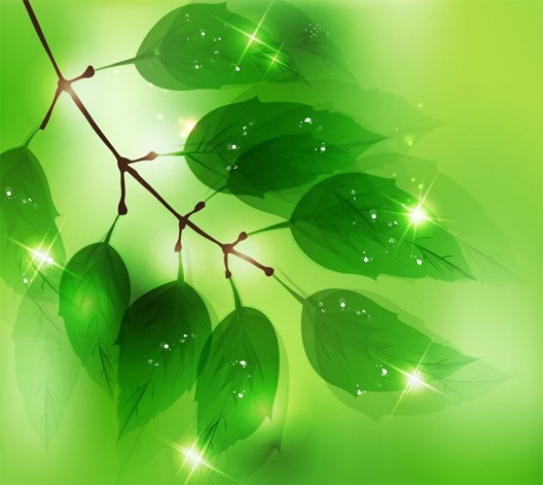 Green Glow Transparent Leaves Vector Background web vector unique stylish quality original nature light leaves leaf illustrator high quality green graphic glowing fresh free download free eps Drops download dewdrops dew design creative branch background   