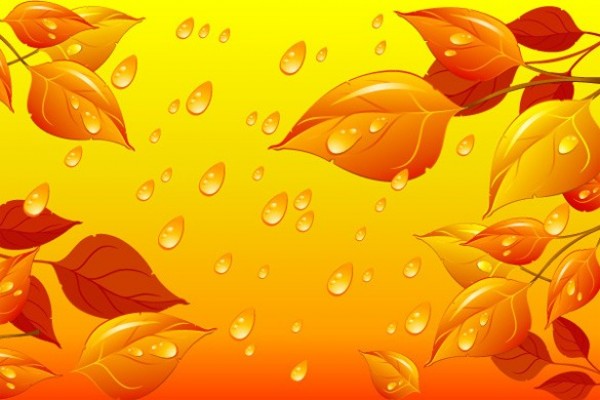 Autumn Leaves in the Rain Abstract Vector Background web water vector unique stylish raindrops rain quality original orange leaves illustrator high quality graphic fresh free download free eps Drops download dew design creative background autumn leaves   