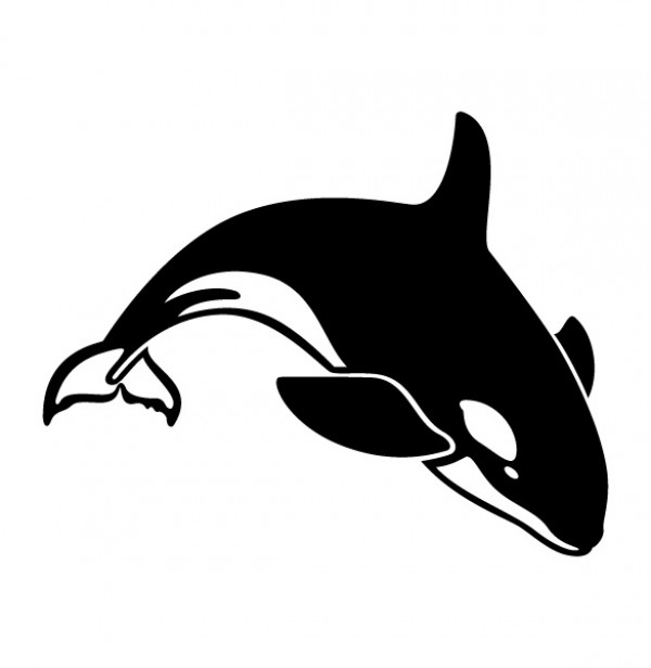 Diving Killer Whale Vector Graphic whale vectors vector graphic vector unique quality photoshop pack original orca modern killer whale illustrator illustration high quality fresh free vectors free download free download diving creative ai   