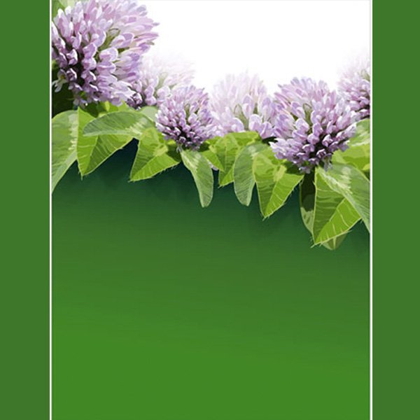 Summer Flowers on Green Background web vector unique ui elements summer stylish quality plant original new nature leaves leaf interface illustrator high quality hi-res HD green graphic fresh free download free floral elements download detailed design creative clover background ai   