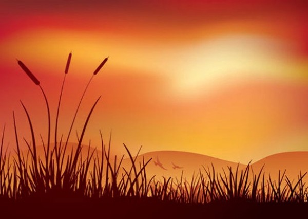 Evening Sun Abstract Vector Background vector unique sunset sun stylish silhouette quality original orange landscape illustrator high quality grasses graphic free download free download creative background   