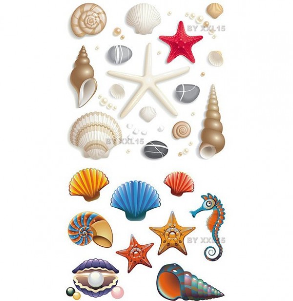 Lovely Vector Seashell Icon Set web vector unique stylish shell icon shell seashells seashell icon seahorse quality original new illustrator icons high quality graphic fresh free download free download design creative conch   