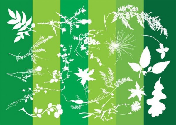 Plants Leaves Silhouettes Vectors web vector unique ui elements thistle stylish silhouette quality plants original new nature leaves leaf illustrator high quality green graphic fresh free download free floral download design creative background abstract   