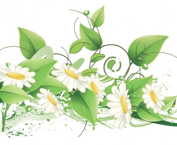 Daisy Floral Leaf Vector Illustration web vectors vector graphic vector unique ultimate quality photoshop pack original new nature modern leaves leaf illustrator illustration high quality fresh free vectors free download free floral ecology eco download design daisy daisies creative background ai   
