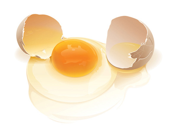 Cracked Open Egg Vector web vector unique ui elements stylish quality original new interface illustrator high quality hi-res HD graphic fresh egg fresh free download free elements egg yolk egg white egg vector egg shells egg and shells egg download detailed design creative cracked egg broken egg ai   