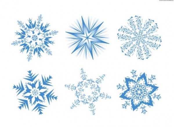 Delicate Transparent Winter Snowflakes wintertime winter web unique transparent stylish snowflake snow simple quality original new modern intricate hi-res HD fresh free download free elements download design creative clean blue   