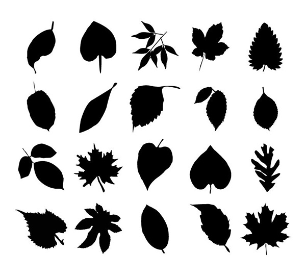20 Various Silhouette Leaf Vector Collection vector silhouette set plant leaves leaf silhouette leaf free download free floral   