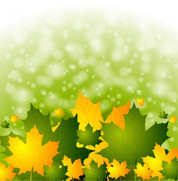 Vivid Autumn Maple Leaves Vector Background web vector unique ui elements stylish quality original orange new nature maple leaves lights interface illustrator high quality hi-res HD green graphic fresh free download free eps. bokeh elements download detailed design creative colorful blurred blur background autumn leaves autumn ai abstract   