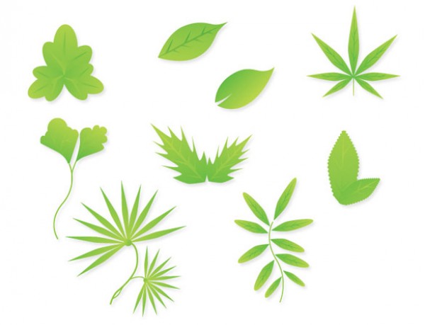 9 Eco Green Leaves Vector vectors vector graphic vector unique ultra ultimate simple quality photoshop pack original new modern leaves leaf illustrator illustration high quality green graphic fresh free vectors free download free eps eco download detailed creative clear clean ai   