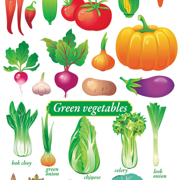 Assortment of Colorful Vector Vegetables web veggies vegetables vector unique ui elements tomato stylish set radish quality potato peppers original new lettuce interface illustrator high quality hi-res HD graphic fresh free download free eps elements eggplant download detailed design creative corn on the cob chili cabbage asparagus artichoke   