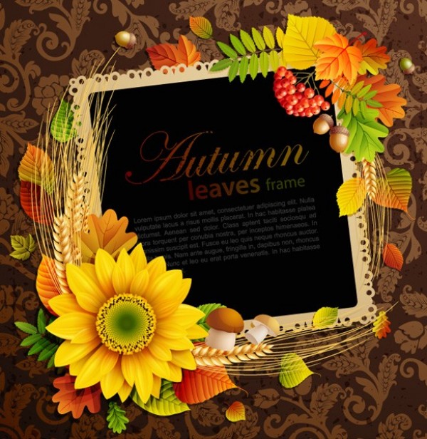 Autumn Colors Floral Frame Vector wheat web vector unique ultimate ui elements sunflower stylish quality pack original orange new nature modern leaves leaf interface illustration high quality high detail hi-res HD graphic fresh free download free frame flower Fall elements download detailed design creative colorful berries autumn acorns   