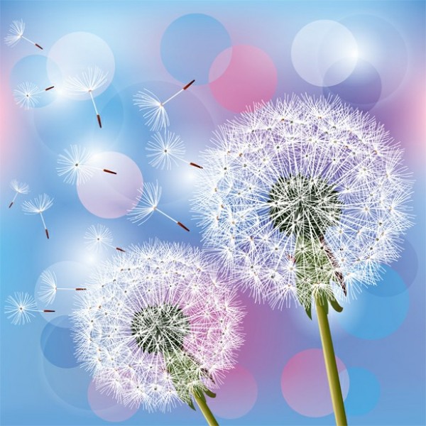 Spring Dandelion Vector Abstract Background web vector unique umbrella seeds stylish spring quality original illustrator high quality graphic fresh free download free floating seeds download design dandelion seeds dandelion creative circles bubble bright blue background abstract   