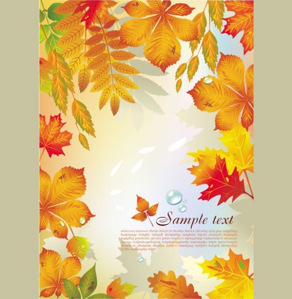 Beautiful Maple Leaf Vector Background yellow web vector unique stylish scene quality original orange leaf illustrator high quality graphic fresh free download free download design creative background autumn leaves autumn   