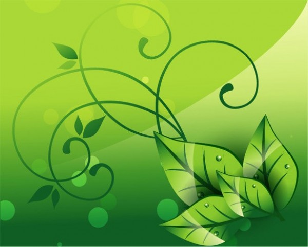 Green Leaf Floral Abstract Vector Background web vector unique stylish quality original nature leaves leaf illustrator high quality green graphic fresh free download free eps eco Drops download dewdrops design creative background abstract   