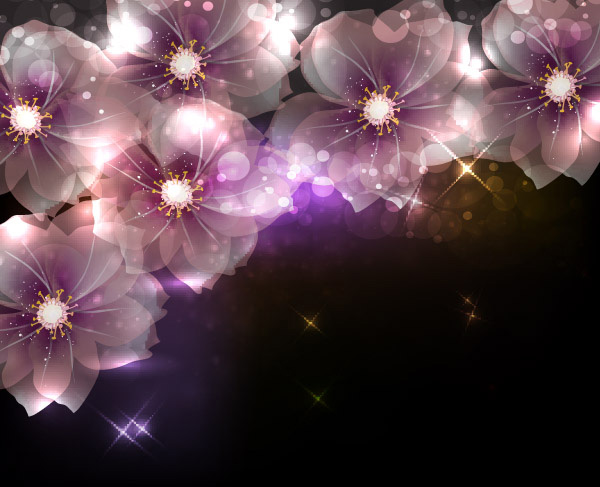 Delicate Flowers Bokeh Background vector glowing free download free flowers floral bokeh black background abstract   
